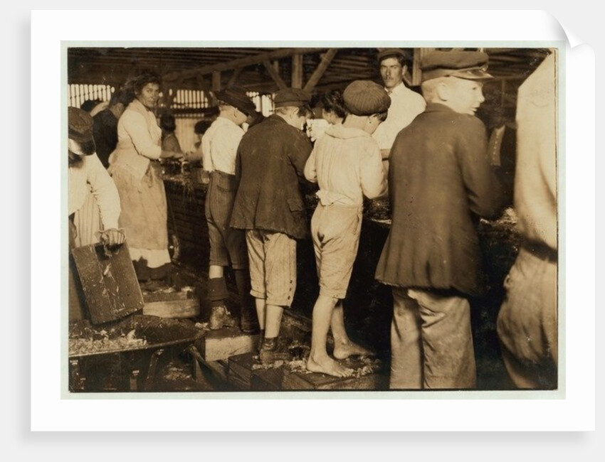 Shrimp pickers, including 8 year old Max, at Dunbar, Lopez, Dukate Co, Biloxi, Mississippi, 1911 by Lewis Wickes Hine