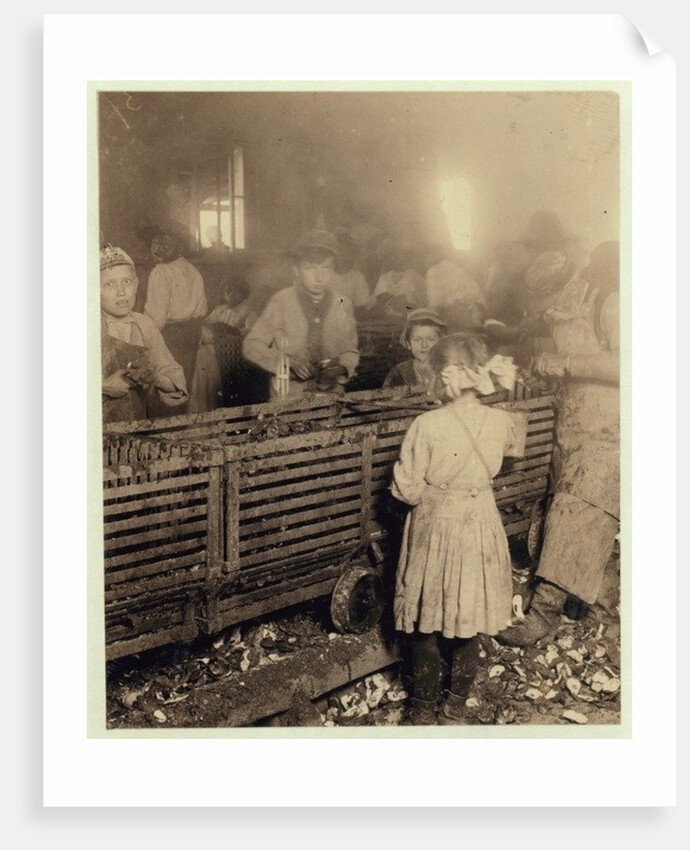 Factory of Lowden Canning Company, Bluffton, South Carolina by Lewis Wickes Hine
