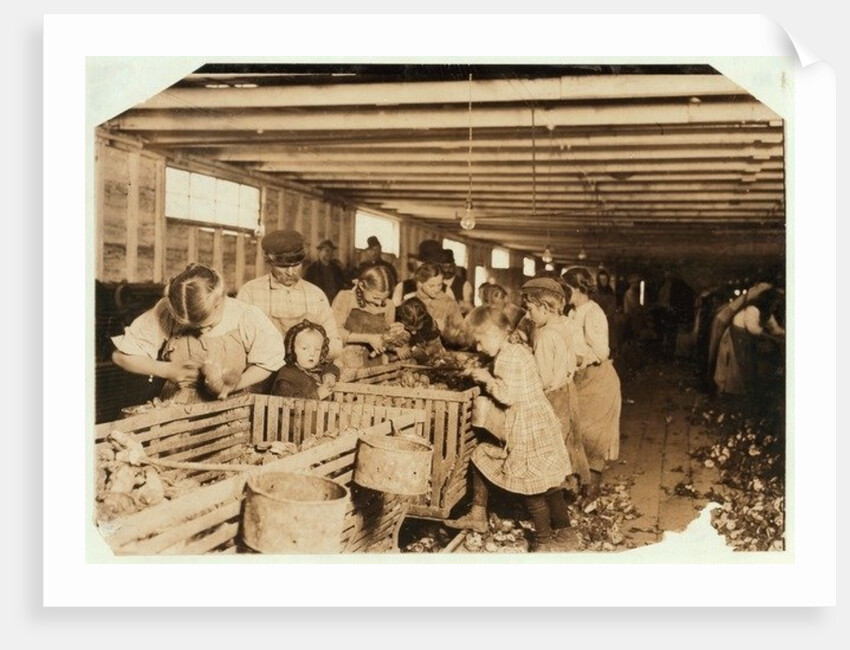 Rosy aged 8 works a 14 hour day as an oyster shucker at Dunbar Cannery, Louisiana, 1911 by Lewis Wickes Hine
