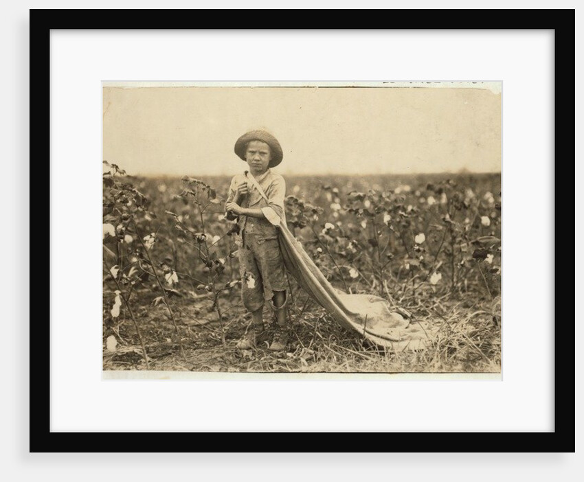 6-year old Warren Frakes with about 20 pounds of cotton in his bag at Comanche County, Oklahoma, 1916 by Lewis Wickes Hine