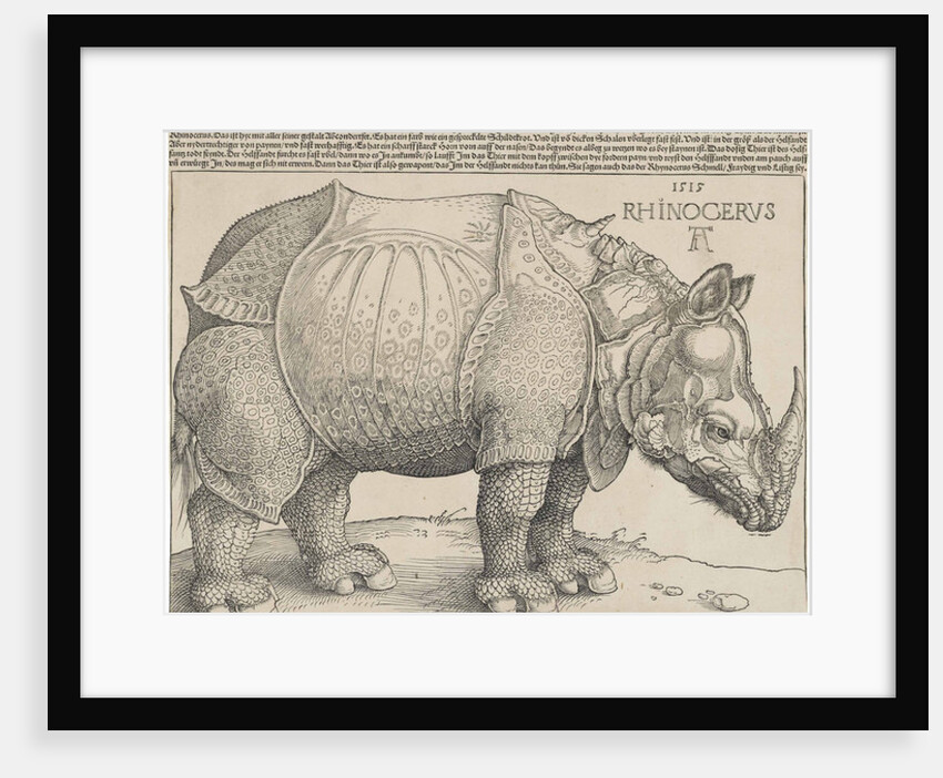 The Rhinoceros, 1515 by Albrecht Dürer or Duerer