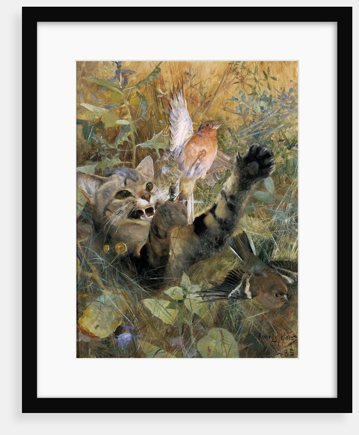 A Cat and a Chaffinch, 1885 by Bruno Andreas Liljefors