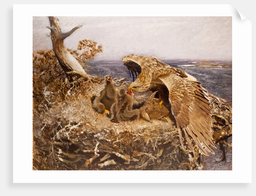 Sea Eagle's Nest, 1907 by Bruno Andreas Liljefors