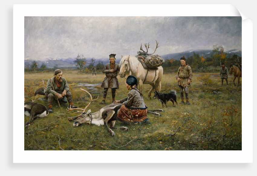 Lapps Collecting Shot Reindeer, 1892 by Johan Tiren