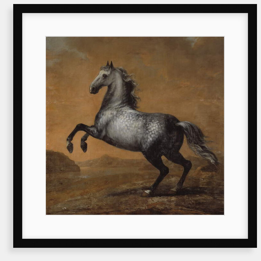 The Little Englishman, King Karl XI's Horse by David Klocker Ehrenstrahl