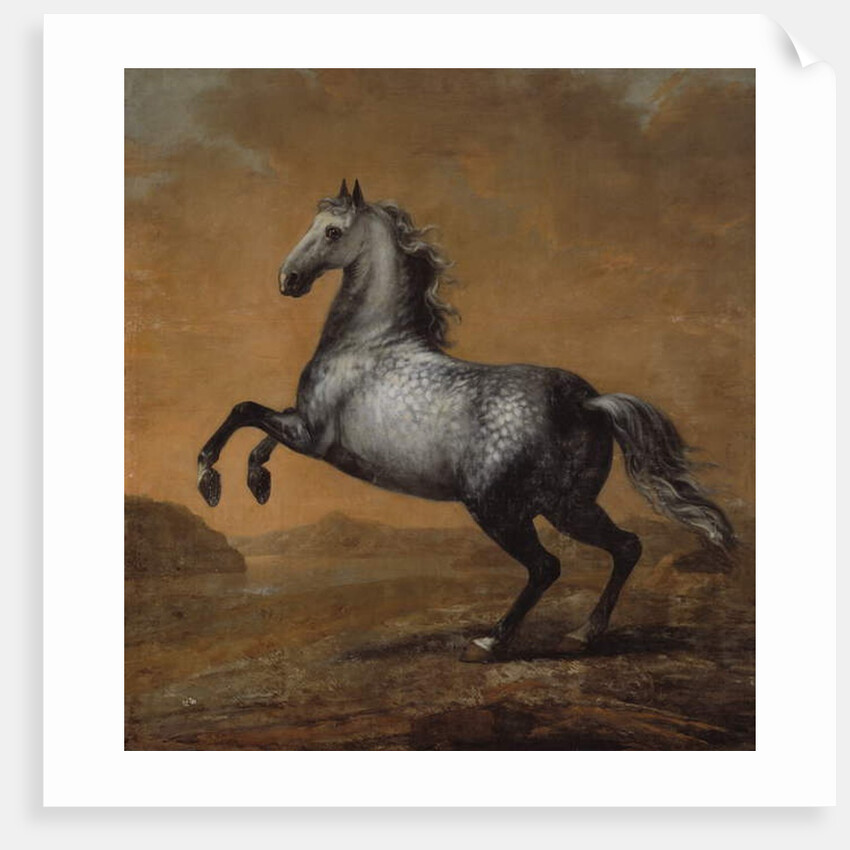 The Little Englishman, King Karl XI's Horse by David Klocker Ehrenstrahl