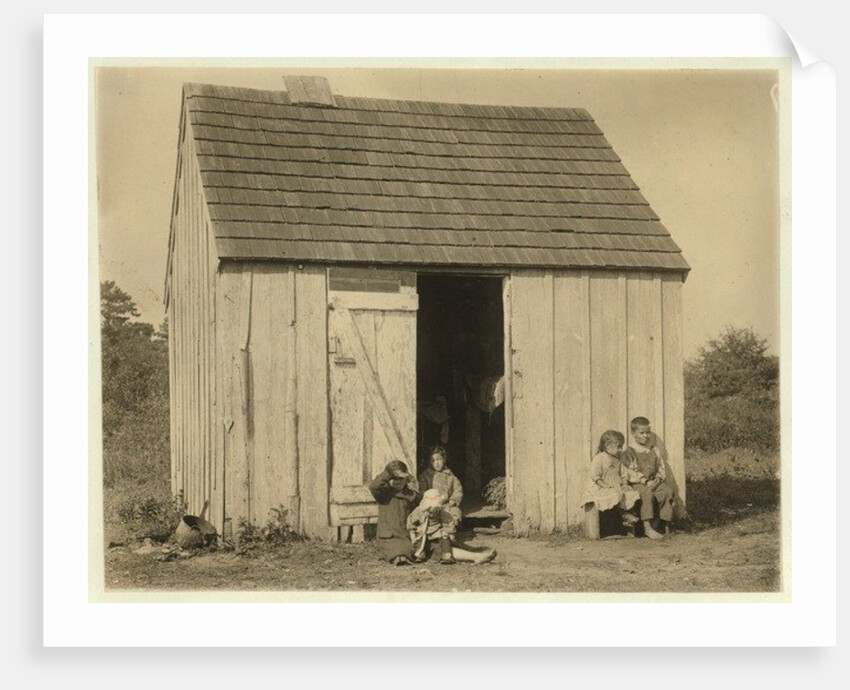 De Marco family shack for cranberry pickers at Forsythe's Bog, Turkeytown, near Pemberton, New Jersey, 1910 by Lewis Wickes Hine
