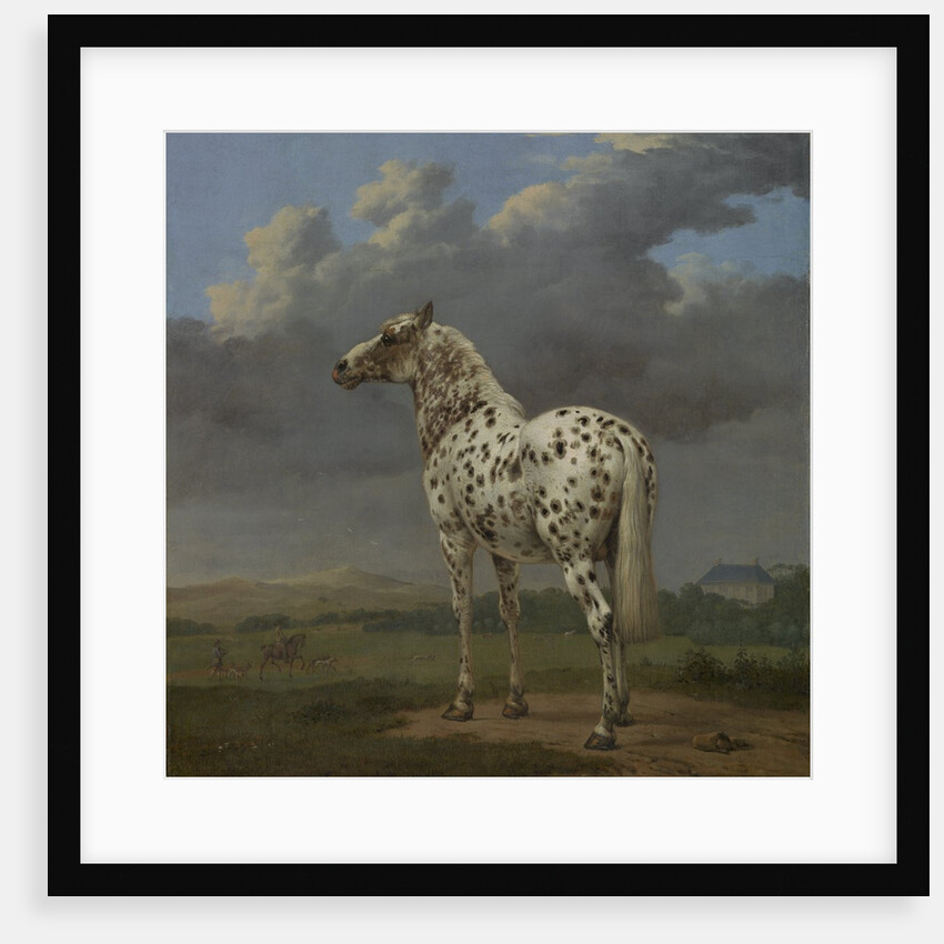 The 'Piebald' Horse, c.1650-4 by Paulus Potter