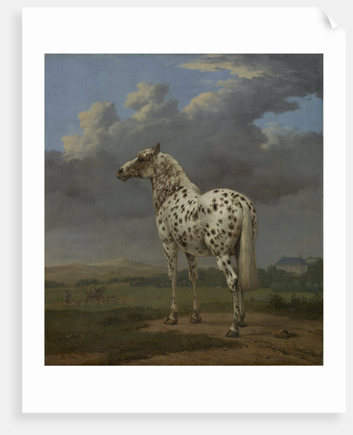 The 'Piebald' Horse, c.1650-4 by Paulus Potter