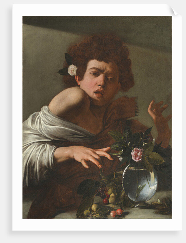 Boy Bitten by a Lizard, c.1595-1600 by Michelangelo Merisi da Caravaggio