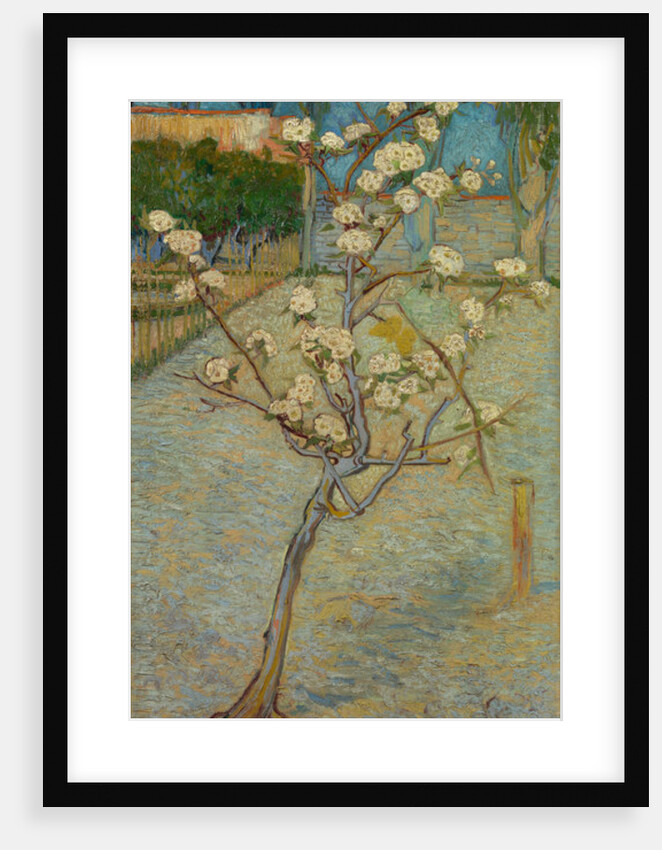 Small pear tree in blossom, 1888 by Vincent van Gogh