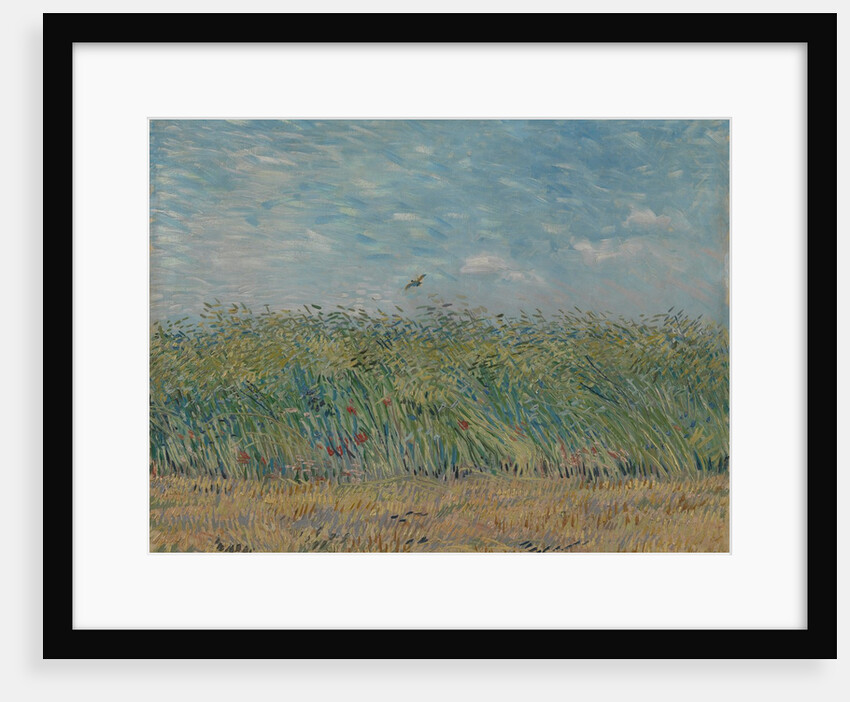 Wheatfield with Partridge, 1887 by Vincent van Gogh