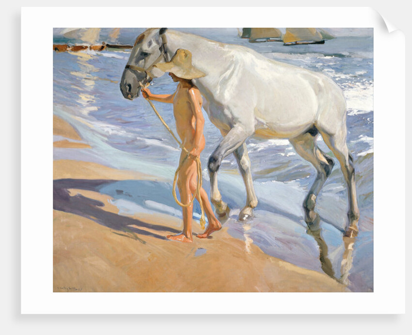 Washing the Horse, 1909 by Joaquin Sorolla y Bastida