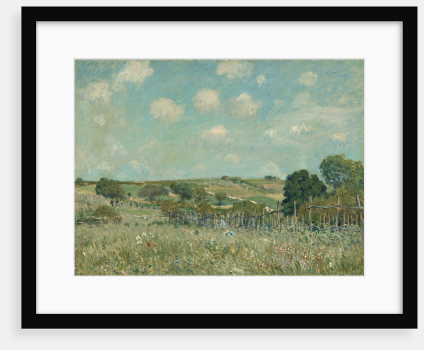 Meadow, 1875 by Alfred Sisley