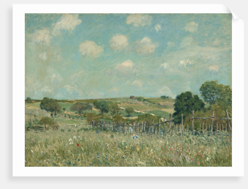 Meadow, 1875 by Alfred Sisley