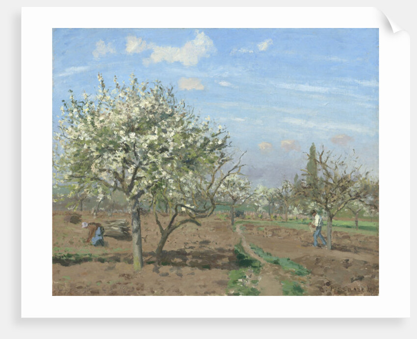 Orchard in Bloom, Louveciennes, 1872 by Camille Pissarro