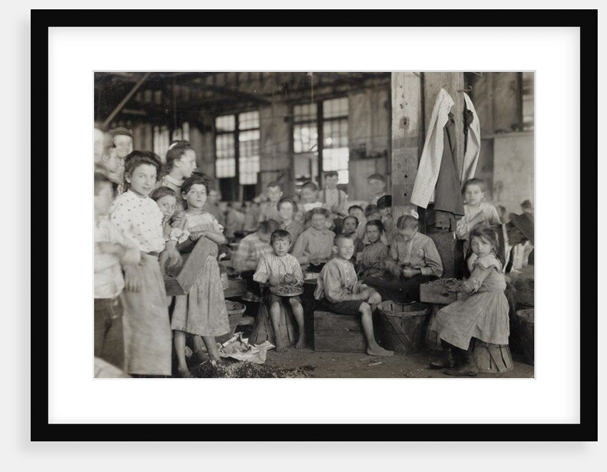 Baltimore, Maryland, July 1909 by Lewis Wickes Hine