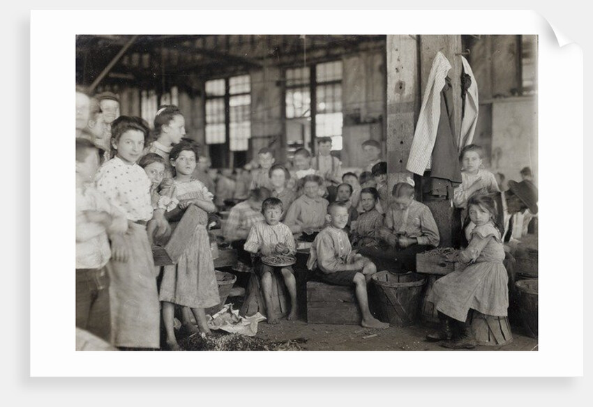Baltimore, Maryland, July 1909 by Lewis Wickes Hine