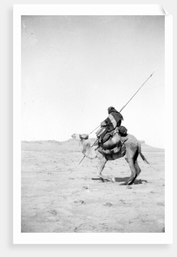 Bedouin warrior making his camel kneel, 1900-20 by Anonymous