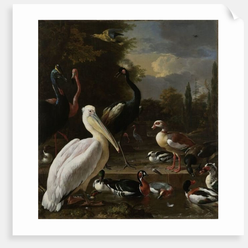 A Pelican and other Birds near a Pool, Known as ‘The Floating Feather’, c.1680 by Melchior de Hondecoeter