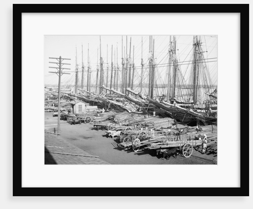 Muelle Tallapiedras, Havana, c.1904 by American Photographer