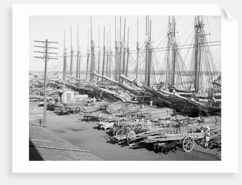 Muelle Tallapiedras, Havana, c.1904 by American Photographer