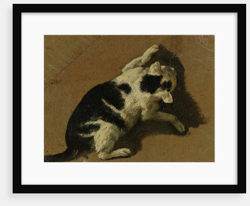 Cat playing by Adriaen van de Velde