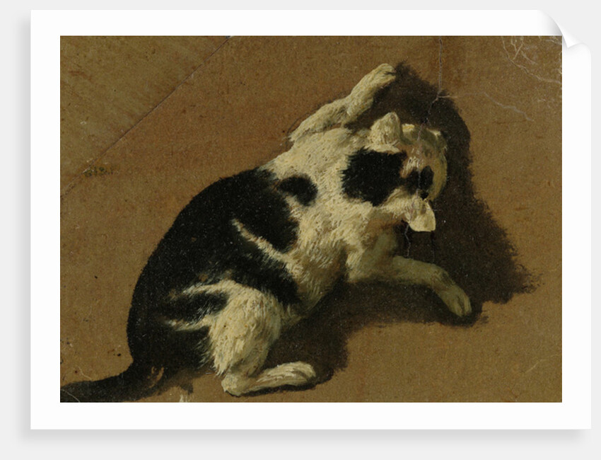Cat playing by Adriaen van de Velde