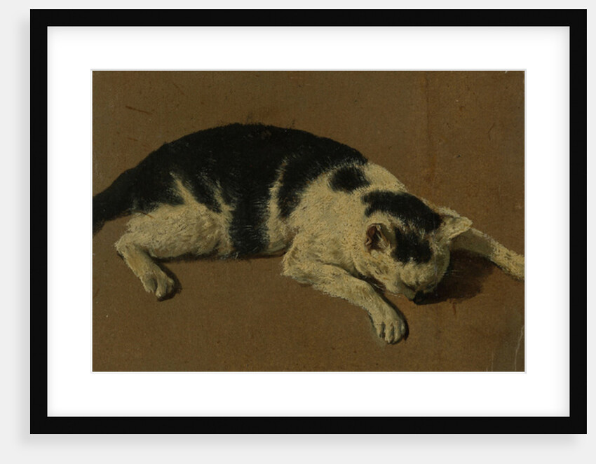 Cat lying down by Adriaen van de Velde