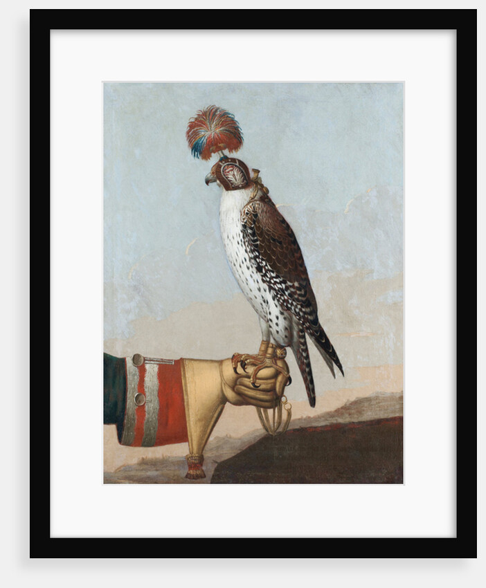 Icelandic gerfalcon, 1759 by German School