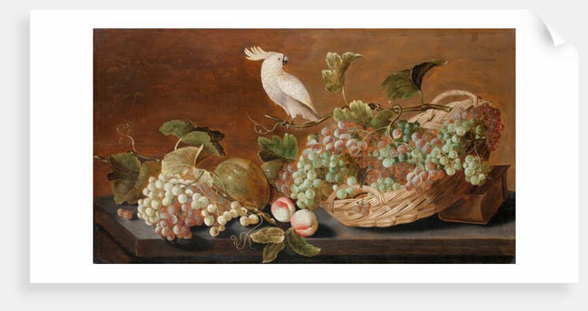 Still life with parrot, c.1640 by Roloef Koets