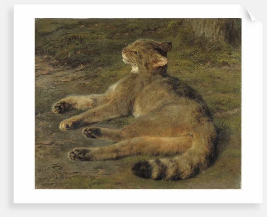 Wild Cat, 1850 by Rosa Bonheur