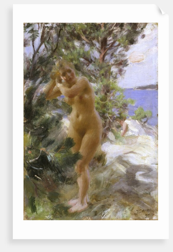 After the Bath, 1895 by Anders Leonard Zorn