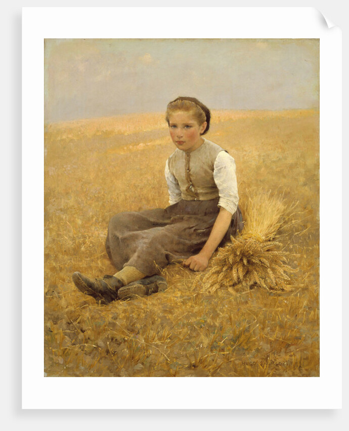 The Little Gleaner, 1884 by Hugo Salmson