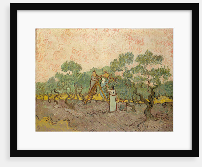 The Olive Pickers, Saint-Remy, 1889 by Vincent van Gogh
