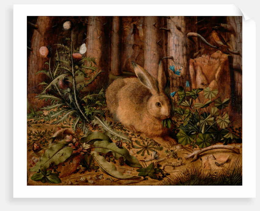 A Hare in the Forest, c. 1585 by Hans Hoffmann