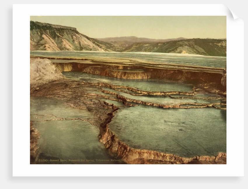 Summit Basin, Mammoth Hot Spring, Yellowstone National Park, c.1898 by American Photographer