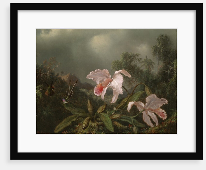 Jungle Orchids and Hummingbirds, 1872 by Martin Johnson Heade