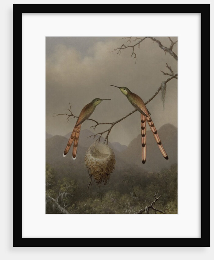 Two Hummingbirds with Their Young, c.1865 by Martin Johnson Heade