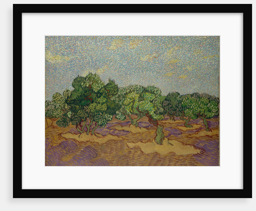 Olive Trees, 1889 by Vincent van Gogh
