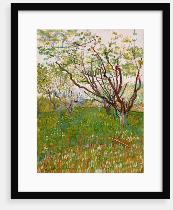 The Flowering Orchard, 1888 by Vincent van Gogh