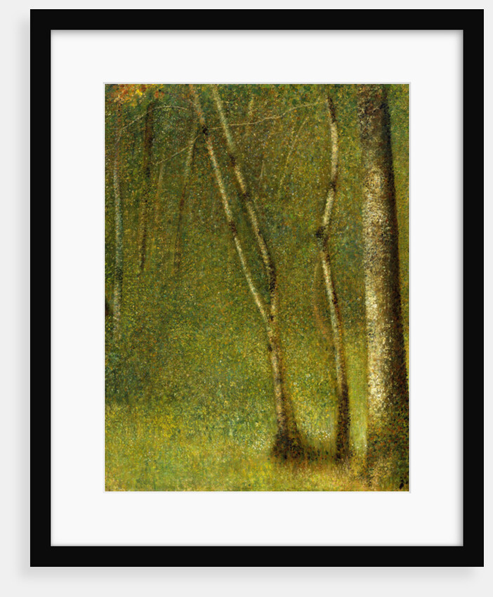 The Forest at Pontaubert, 1881 by Georges Pierre Seurat