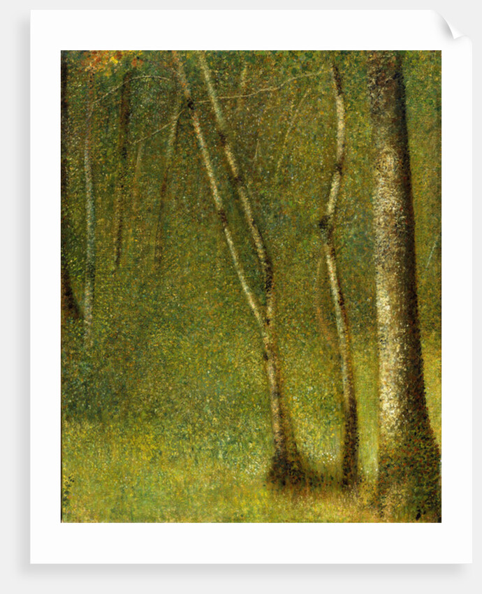 The Forest at Pontaubert, 1881 by Georges Pierre Seurat