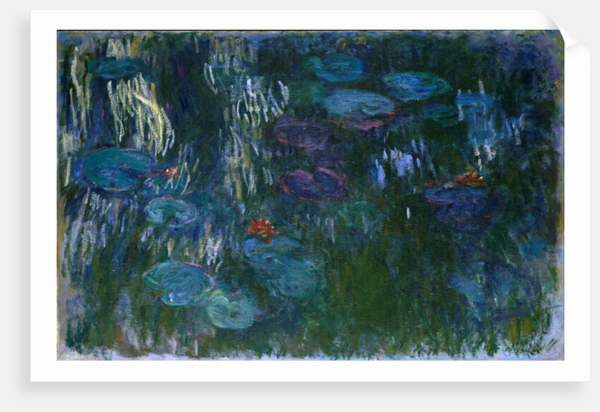 Water Lilies, 1916-19 by Claude Monet