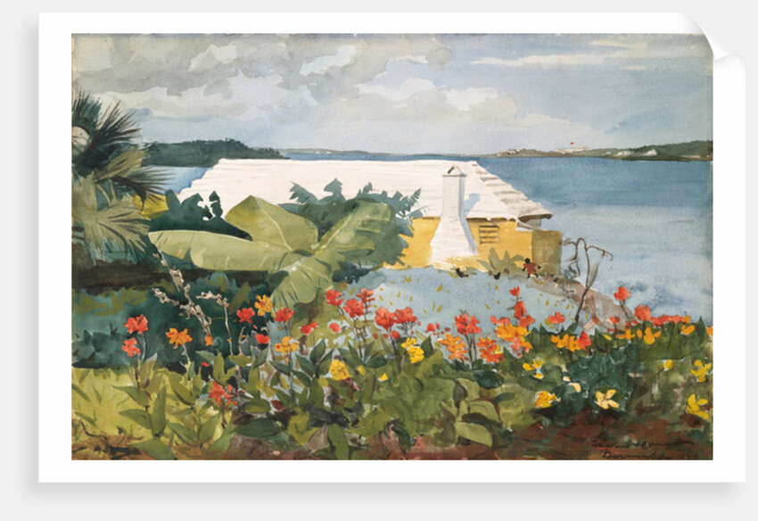Flower Garden and Bungalow, Bermuda, 1899 by Winslow Homer