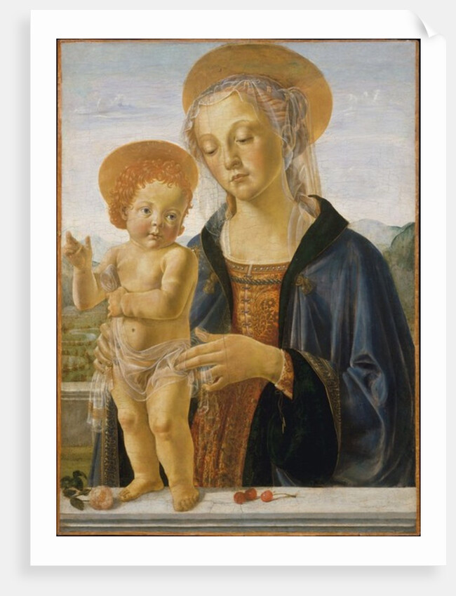 Madonna and Child, c.1470 by Andrea del (workshop of) Verrocchio