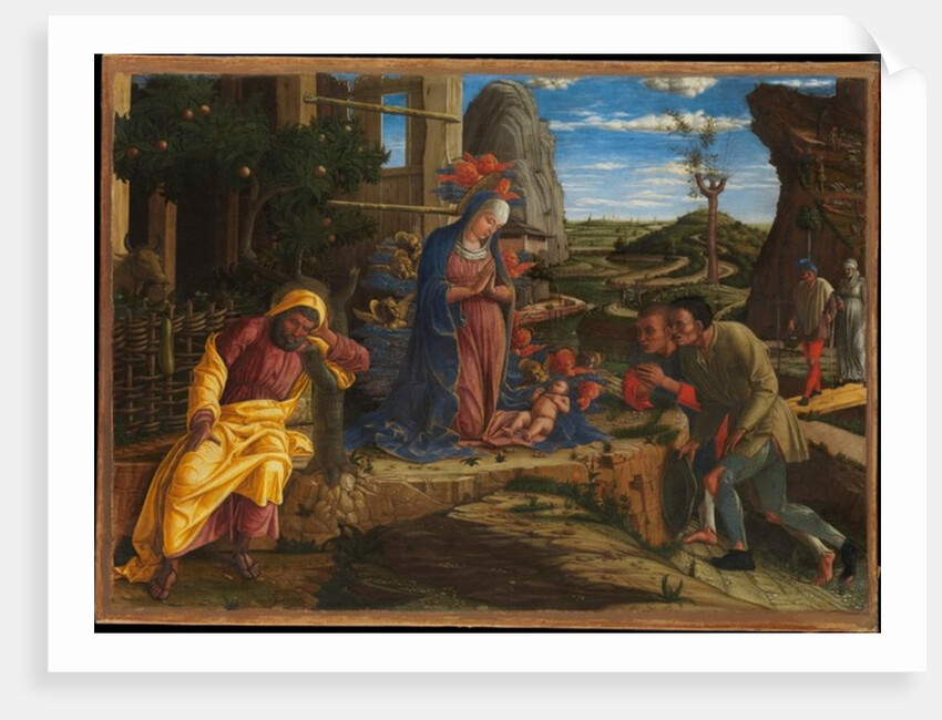 The Adoration of the Shepherds, c.1450 by Andrea Mantegna