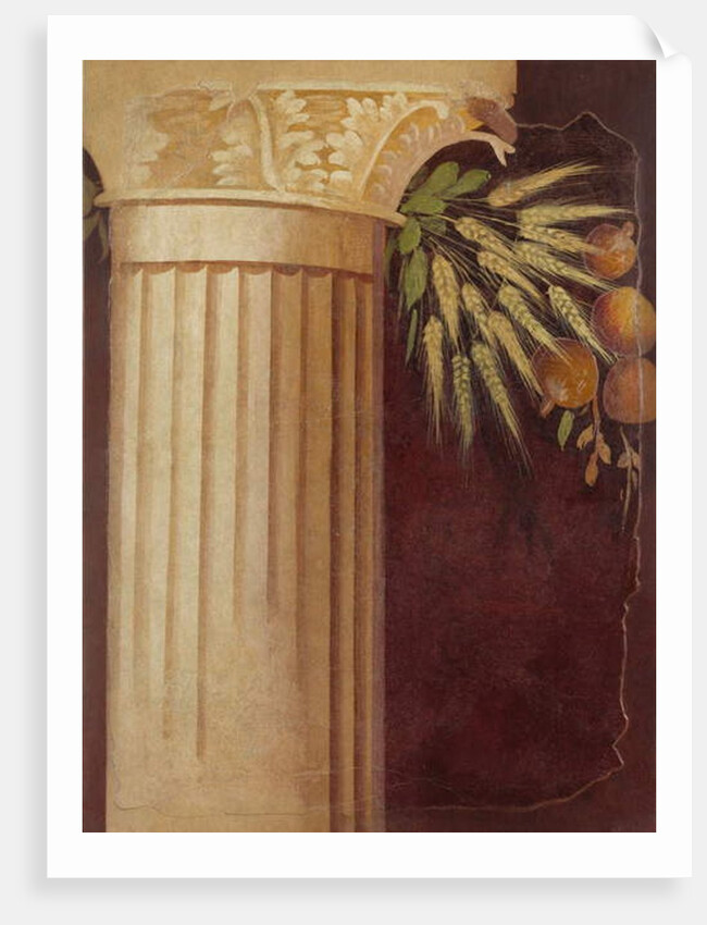 Wall painting fragment from the peristyle of a Villa at Boscoreale, c.50–40 B.C. by Roman Republican Period