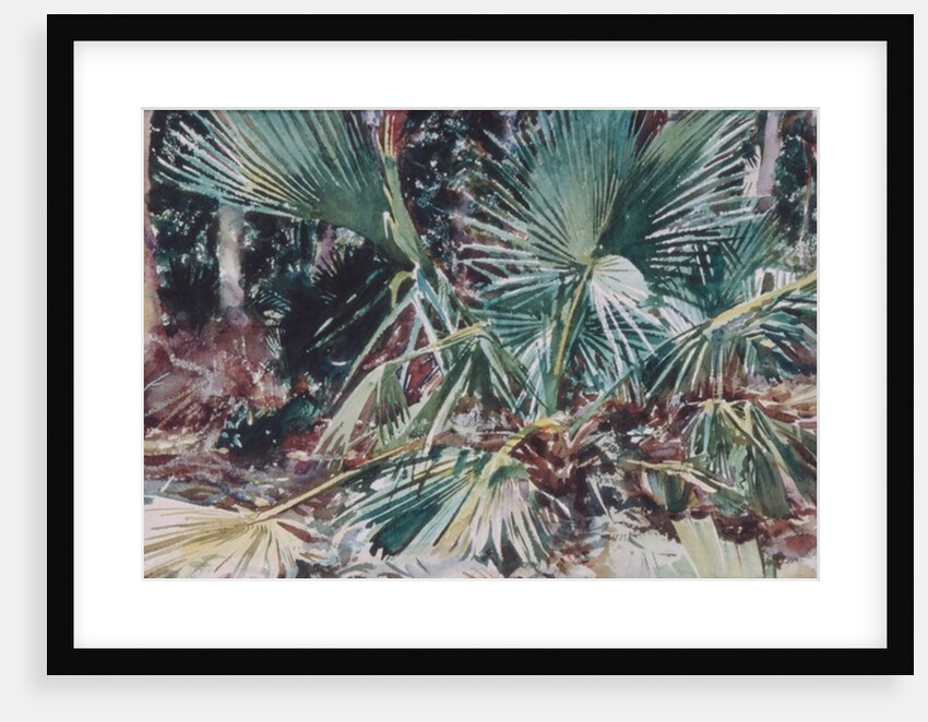 Palmettos, 1917 by John Singer Sargent