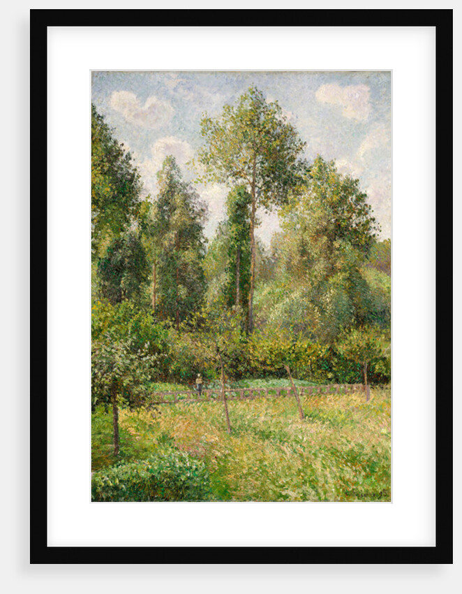 Poplars, Éragny, 1895 by Camille Pissarro